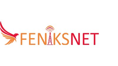 Feniks İnternet