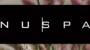 NuSpa