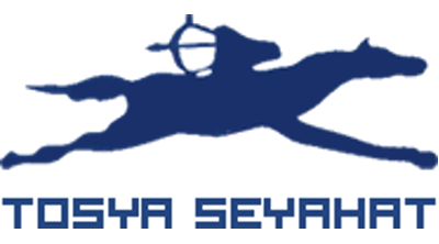 Tosya Seyahat